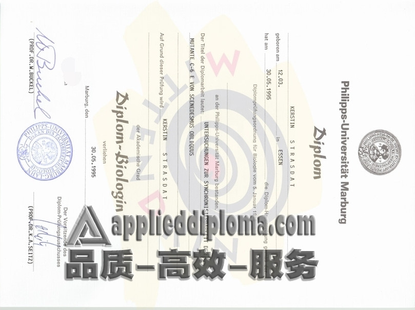 订购马尔堡大学毕业证：轻松提升职场竞争力