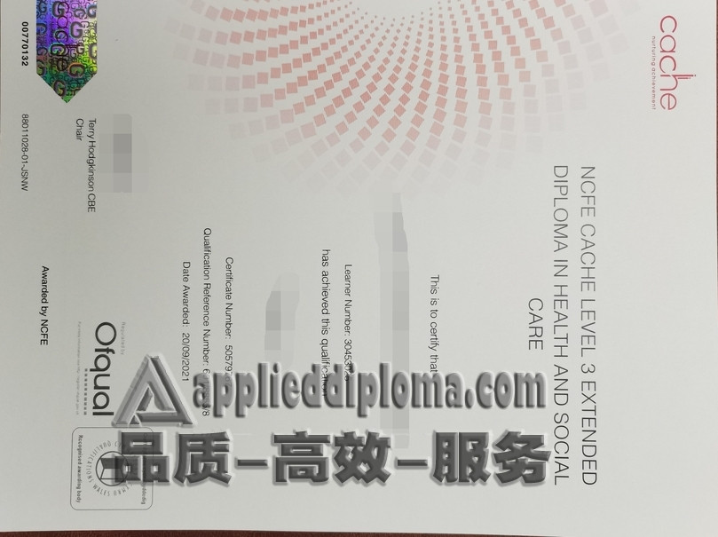 办理英国儿童保育和教育证书：全面指南