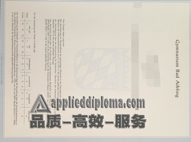 复刻巴伐利亚州大学入学资格证书：详解步骤与要点