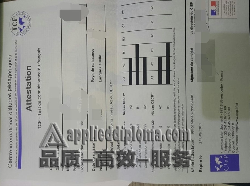 如何轻松购买法语成绩单:在线指南
