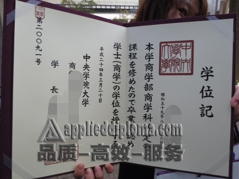 定制高质量中央学院大学学位：你的专属学术之路