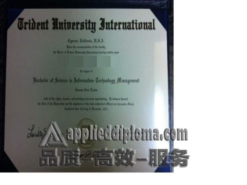 在线办理三叉戟国际大学文凭：轻松完成学历认证