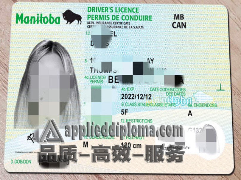 团购加拿大曼尼托巴省驾照：轻松拿到国际驾照的秘密