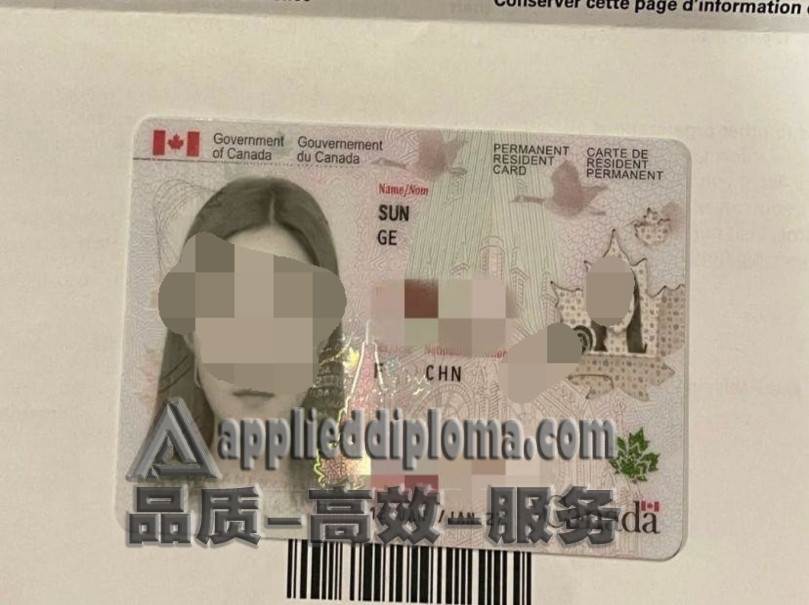 如何轻松定制加拿大枫叶卡新版