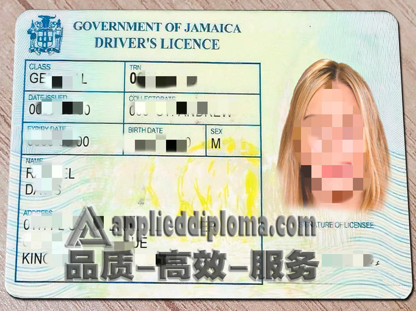 🇮🇩 快速补办牙买加驾照：轻松搞定您的驾驶需求！