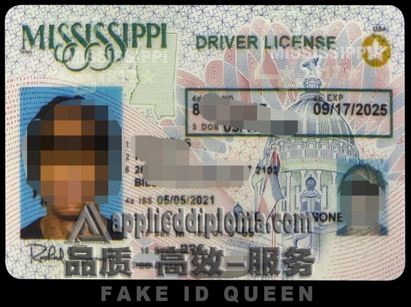 精仿密西西比州驾驶执照：让你出行无忧的全新选择